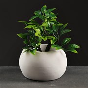 Фигурное кашпо "Сфера" 10х15см 10295